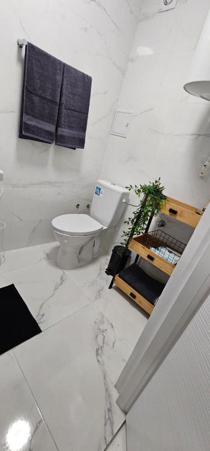 Rarina House Apartment Брашов Екстериор снимка